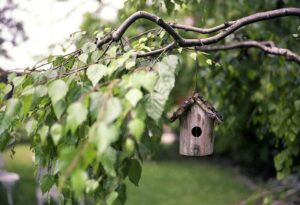 Vogelfutterhaus im privaten Garten